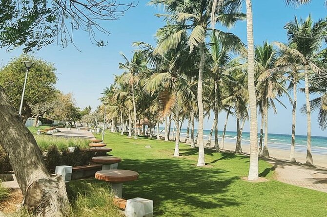 Half-Day Private Tour in Muscat City Oman - Al Alam Palace and the harbor forts