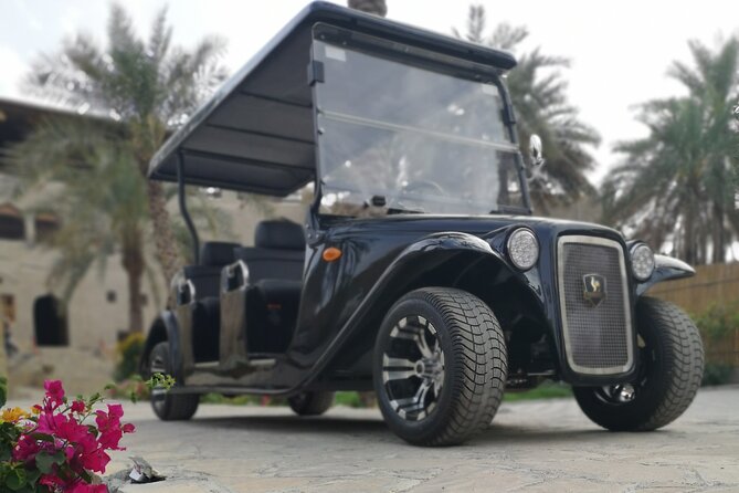 Heritage private Tour by classic carts - A gentle introduction to old Nizwa