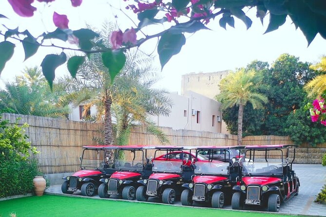 Heritage private Tour by classic carts - Shawathna Mosque and traditional Omani design