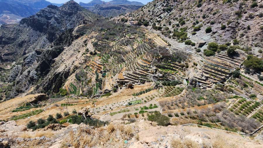 Historical City of Nizwa - What the guide adds