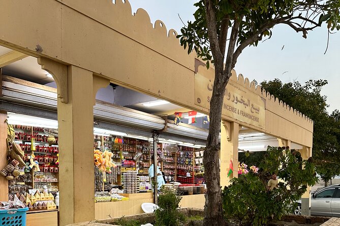 Historical Salalah City Tour - Understanding Al Baleed at the Museum of the Land of Frankincense