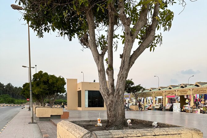 Historical Salalah City Tour - What the $112 price really includes