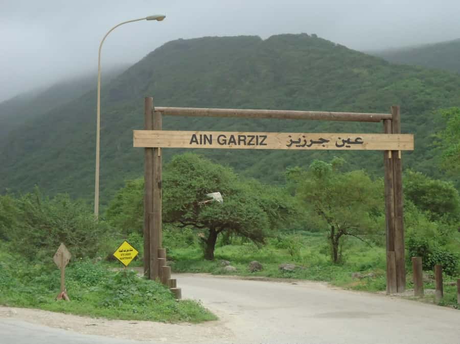 Historical Salalah City Tour with Culture, Food & Shopping - Why this four-hour Salalah tour works