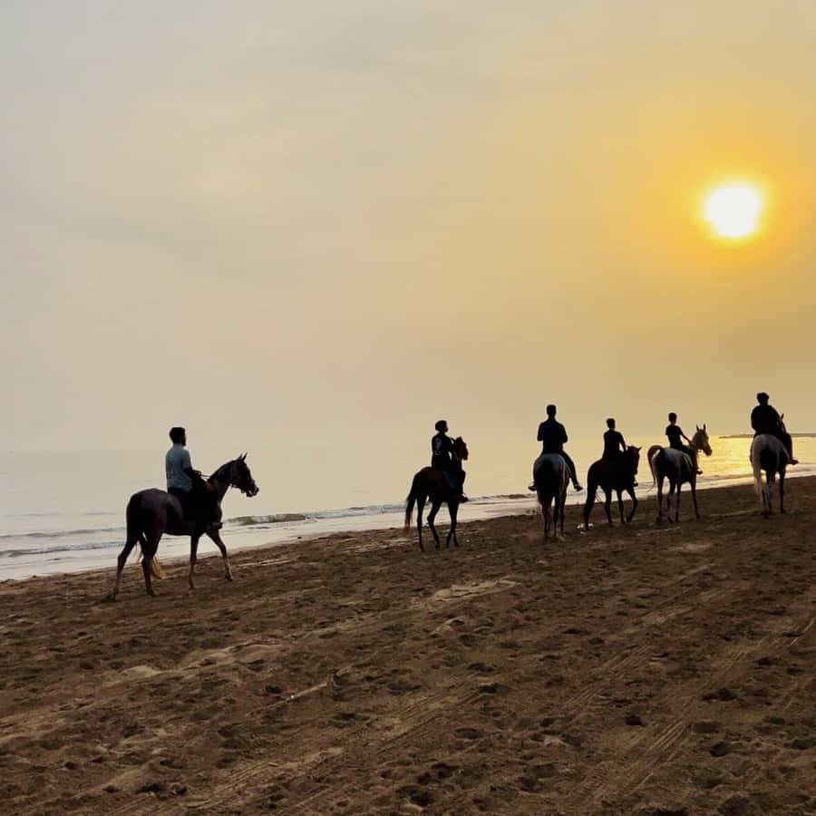 Horse riding in muscat beach - A beach ride, not a desert safari