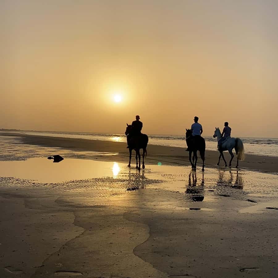 Horse riding in muscat beach - Why sunset is worth considering