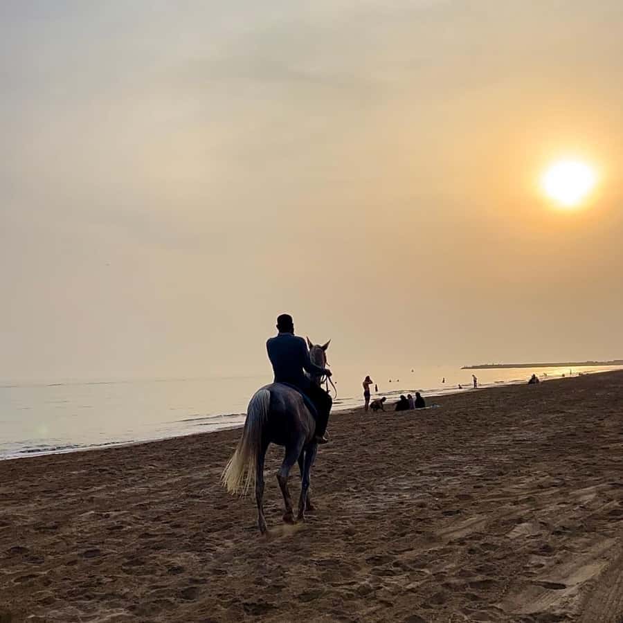 Horse riding in muscat beach - The horses and the standard of organisation