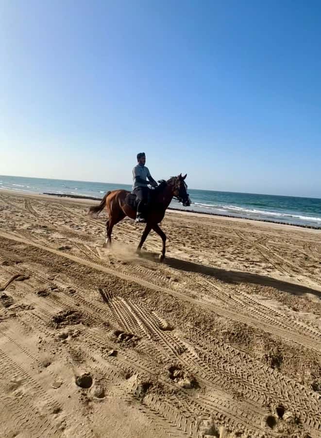 Horse riding in muscat beach - Should you book the Muscat beach ride?