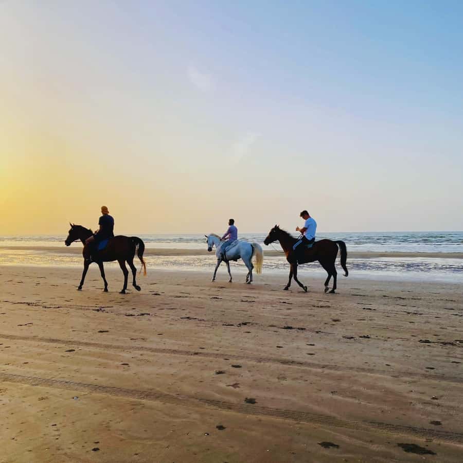 Horse riding in muscat beach - What the one-hour outing is like