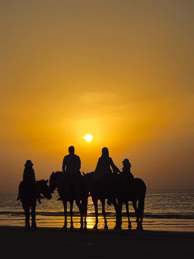 Horse Riding Muscat | Beach Horse Riding - Key points to know before you book