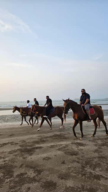 Horse Riding Muscat | Beach Horse Riding - Practical ways to make the hour count