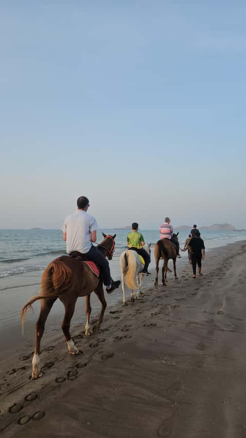 Horse Riding Muscat | Beach Horse Riding - Riding beside the Gulf of Oman at Al Sawadi Beach