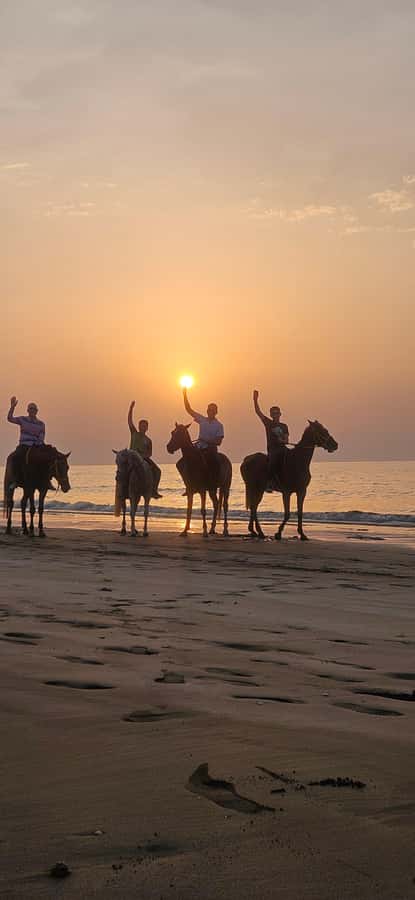 Horse Riding Muscat | Beach Horse Riding - Why sunset is worth considering
