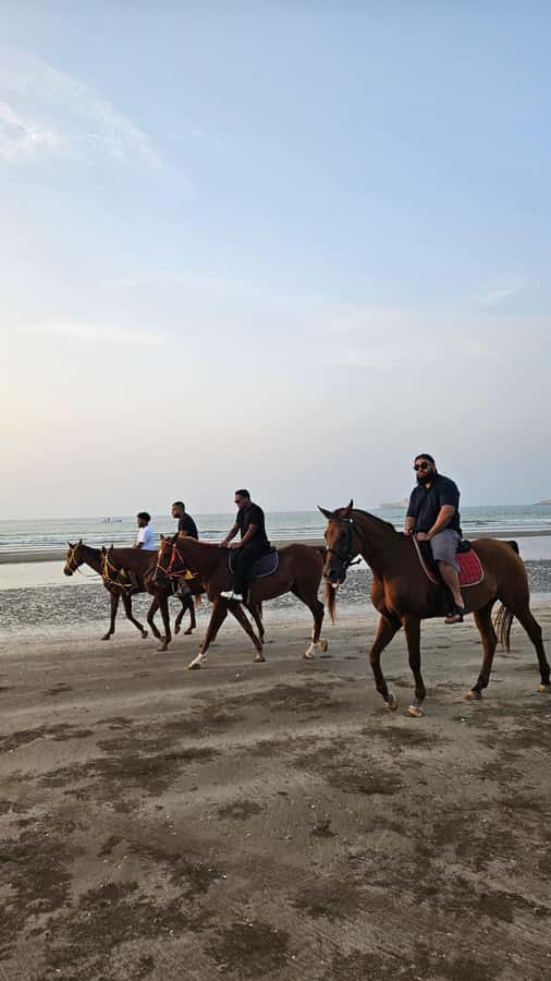 Horse Riding Muscat | Beach Horse Riding - The guides and help for first-time riders