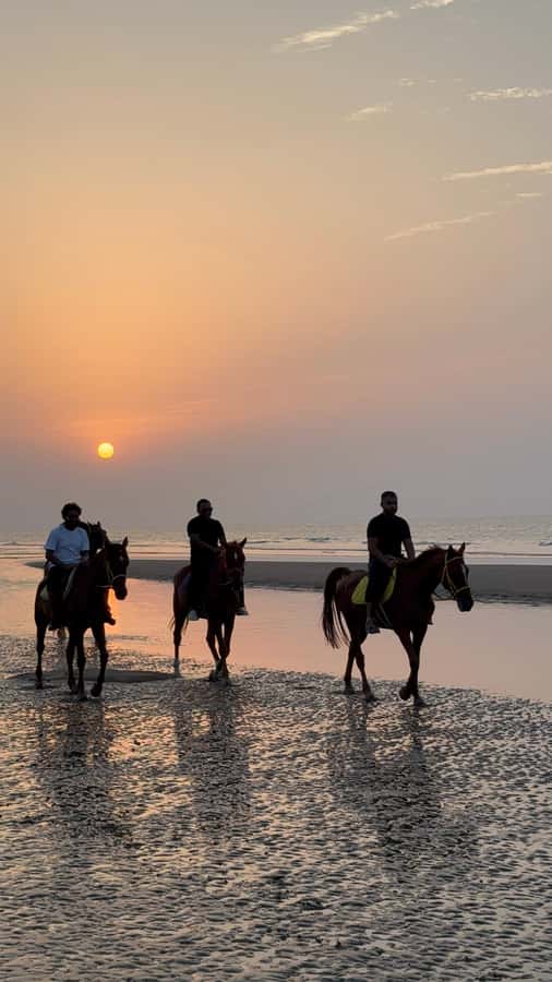 Horse Riding Muscat | Beach Horse Riding - Getting to Al Sawadi from Muscat