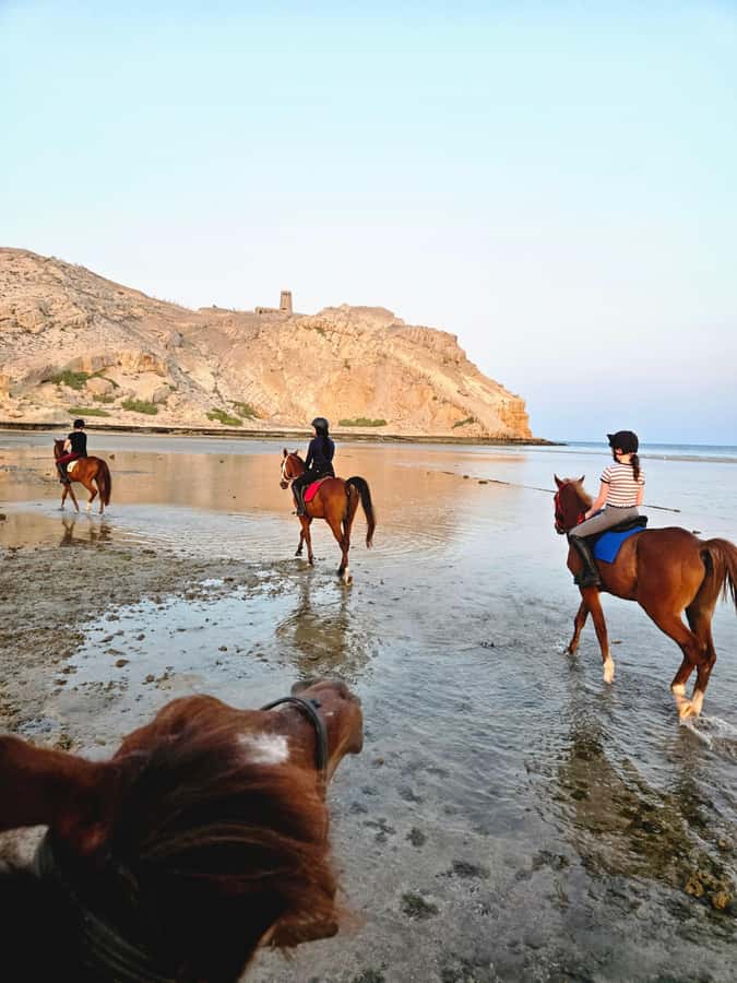 Horse Riding Oman - 2 hour ride - Key points before you book