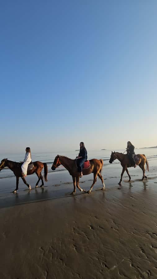 Horse Riding Oman - 2 hour ride - The view from the saddle