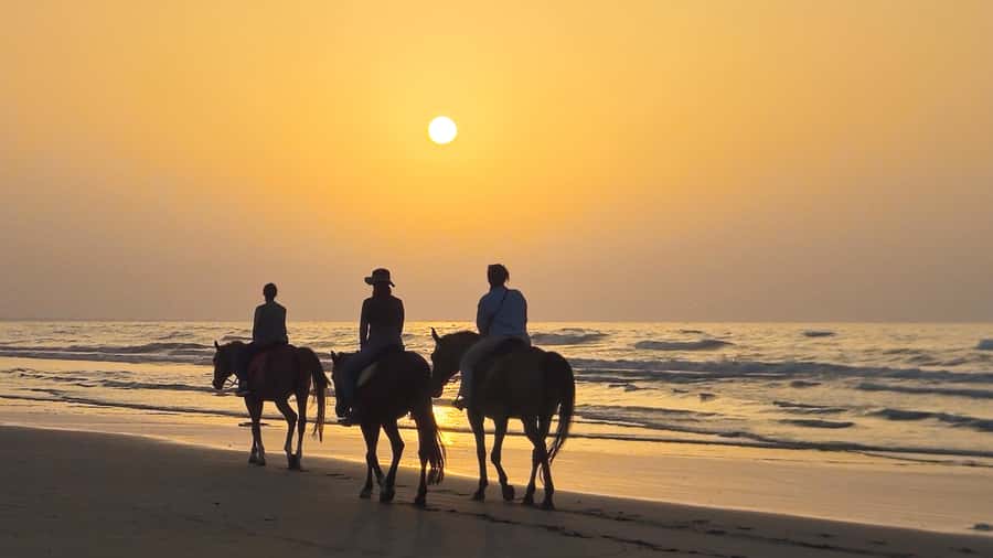 Horse Riding Oman - 2 hour ride - What the $140 price really covers