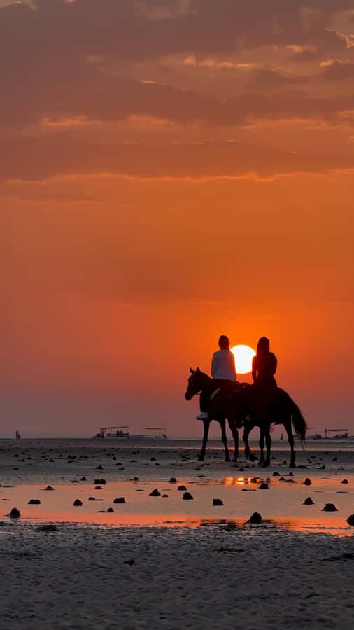 Horse Riding Oman - 2 hour ride - How this compares with a standard beach visit