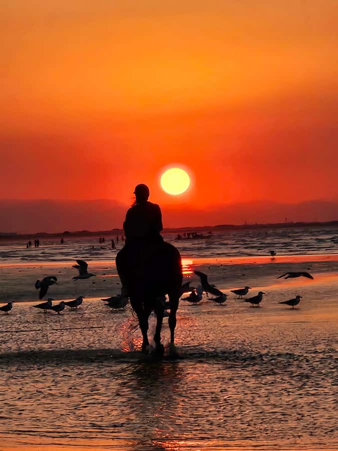 Horse Riding Oman - 2 hour ride - Riding the beach at a relaxed pace