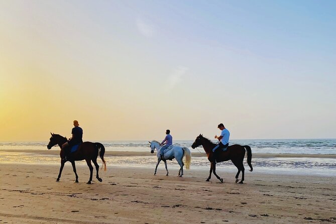 Horse Riding on the beach - A one-hour ride beside the Sea of Oman