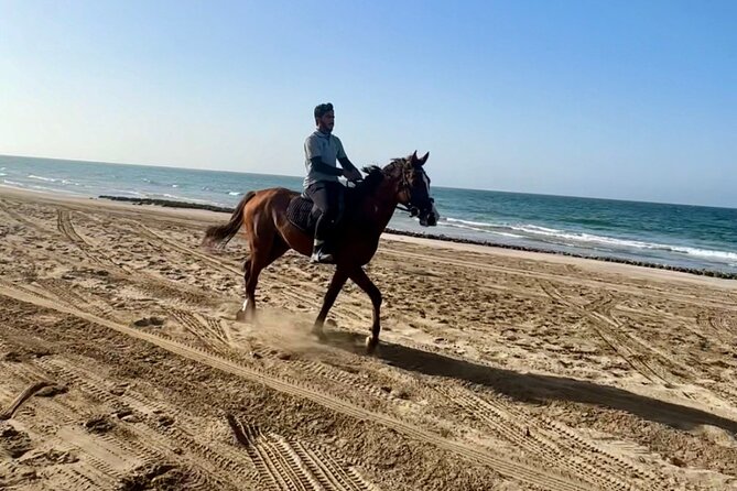 Horse Riding on the beach - Why the Arabian horses matter