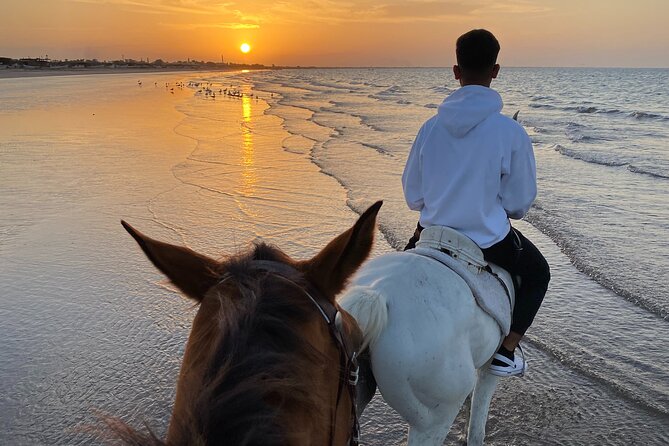 Horse Riding on the beach - The sunset setting is the real payoff