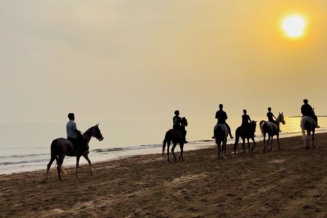 Horse Riding on the beach - Booking, timing, and cancellation