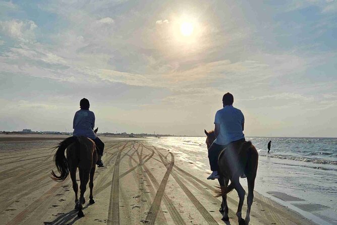 Horseback Riding Muscat Beach - How the ride feels for beginners