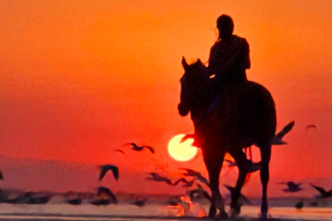 Horseback Riding Muscat Beach - Sunrise and sunset make a big difference