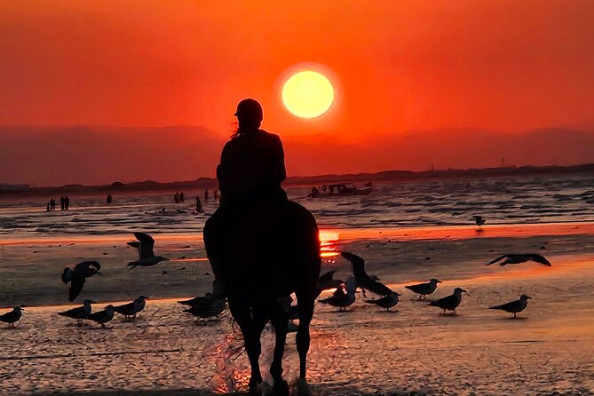 Horseback Riding Muscat Beach - The guide and the photography