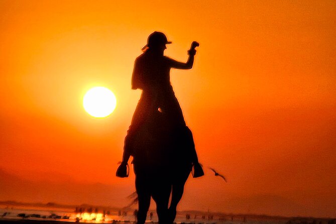 Horseback Riding Muscat Beach - What to wear and bring