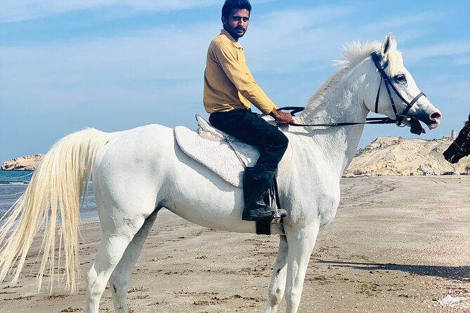 Horseback Riding Muscat Beach - From the stable to the shoreline