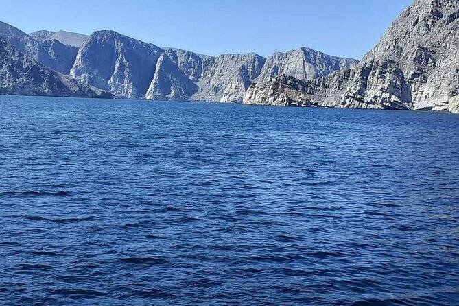 Khasab Dhow cruise-Half day with summing, dolphin watching - Watching dolphins in the Musandam channels