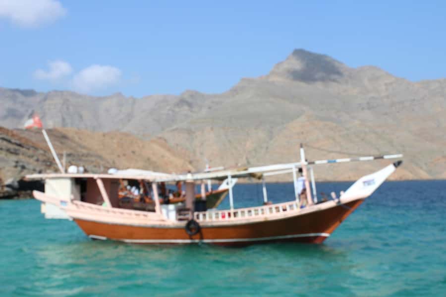 Khasab: Dhow Cruise with Lunch, Dolphin Watching& Snorkeling - Practical details that matter