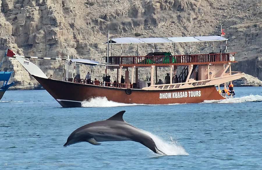 Khasab: Half-Day Dhow Cruise, Dolphin Watching, & Snorkeling - A traditional dhow into Musandam’s fjords