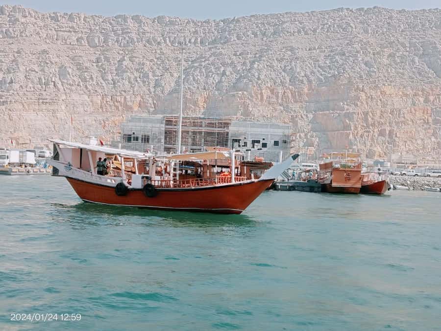 Khasab: Half-Day Dhow Cruise, Dolphin Watching, & Snorkeling - Who will enjoy this cruise most