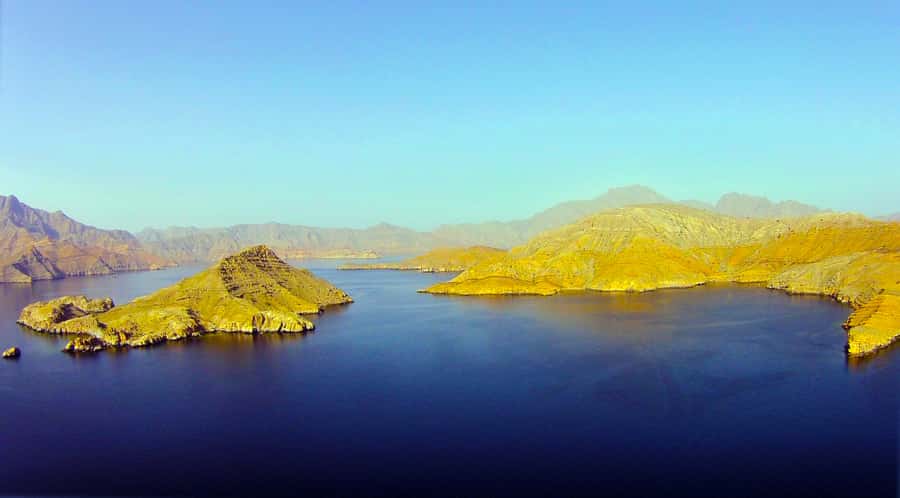 Khasab: Half-Day Dhow Cruise with Dolphin Watching - Should you book the Musandam dhow cruise?