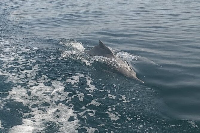 Khasab Musandam Full Day dhow cruise with lunch and Snorkeling - Lunch, fruit, coffee, and cold drinks