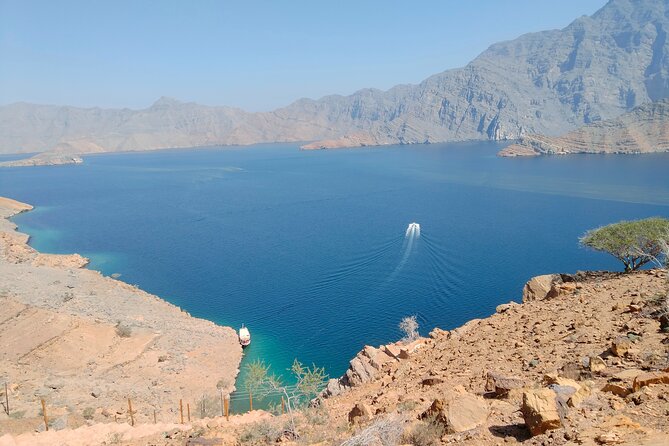 Khasab Musandam Half Day Dhow Cruise - Watching dolphins beside the dhow