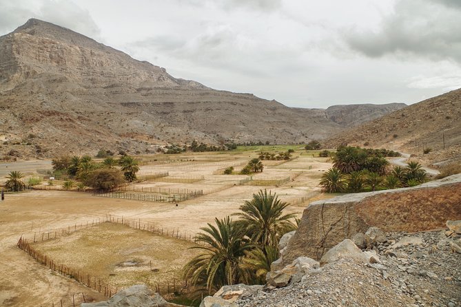 Khasab Musandam Mountain Safari - Climbing toward Jebel Al Harim at 2,087 meters