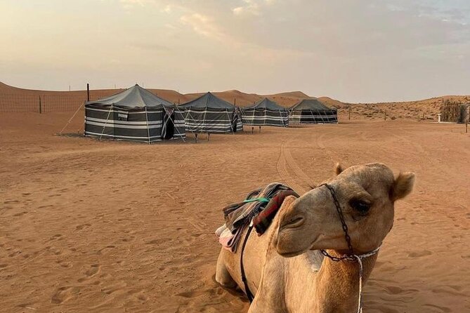 Luxury Overnight Desert Safari in Salalah - From Salalah to the frankincense trees of Wadi Dawkah