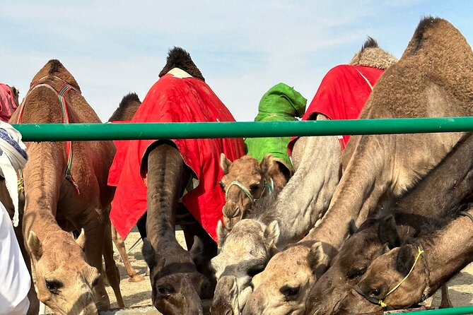 Luxury Overnight Desert Safari in Salalah - Sunrise and the return journey
