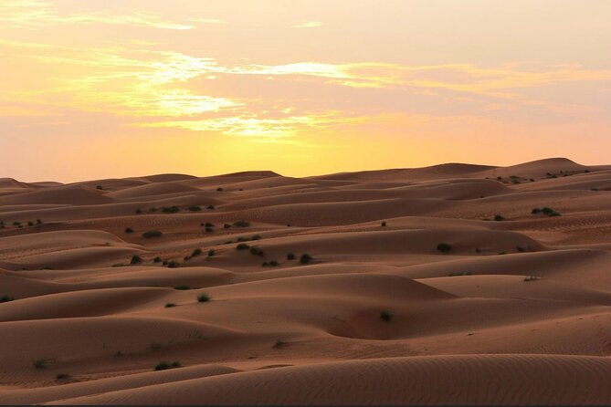 Luxury Sunset Desert Safari - From Salalah to the frankincense trees of Wadi Dawkah