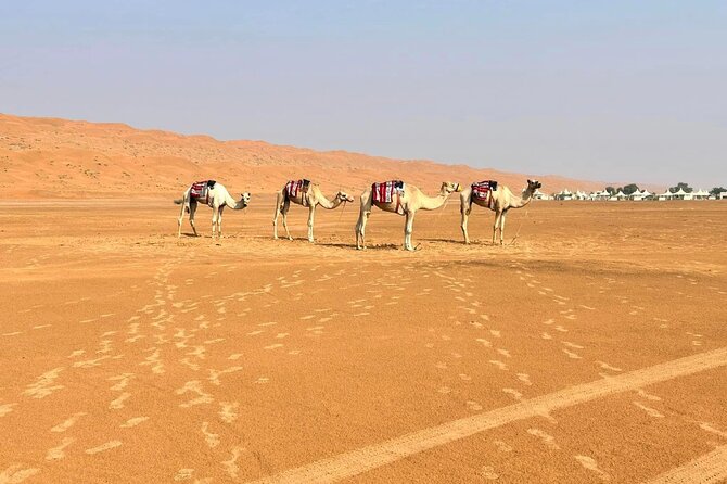 Luxury Sunset Desert Safari - Rub Al Khali and 2 hours of dune bashing