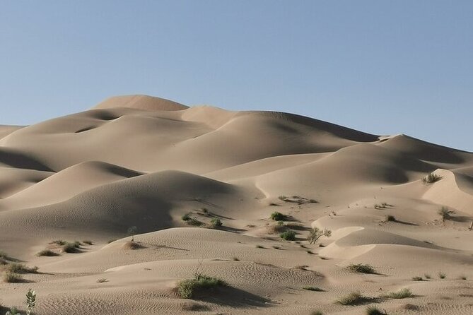Luxury Sunset Desert Safari - Is $175 a fair price for seven hours?