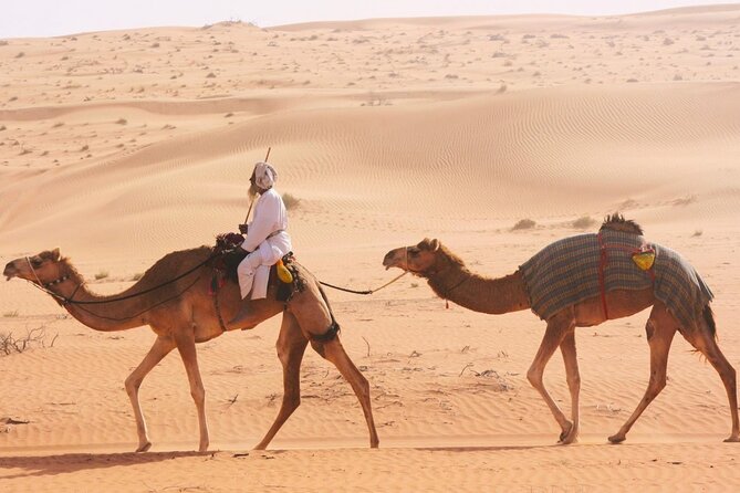Luxury Sunset Desert Safari - Who should book this desert safari?