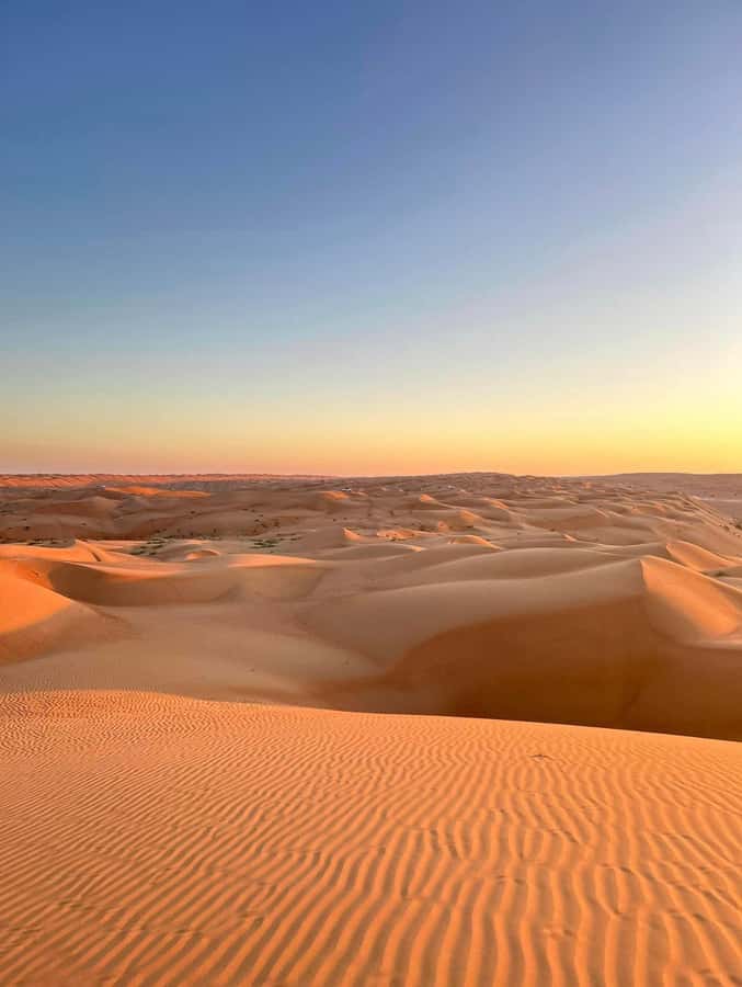 Magical Desert Safari By Land Cruise in Empty Quarter - Key points to know before you book