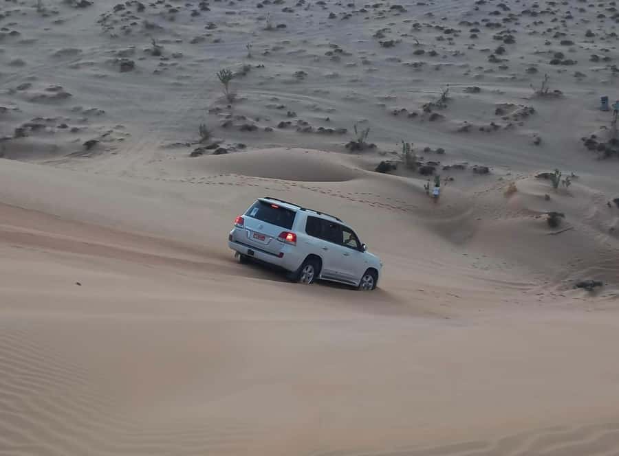Magical Desert Safari By Land Cruise in Empty Quarter - Thumrait and the old Bedouin setting
