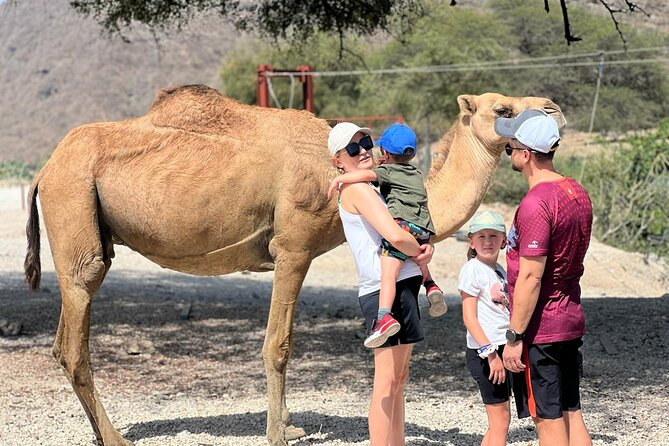 Mountain Safari, Camels, waterfalls & lunch (Group Tour) - Taqah starts the day with coast and local character