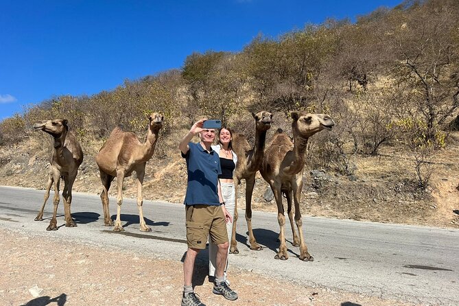 Mountain Safari, Camels, waterfalls & lunch (Group Tour) - Wadi Darbat is the day’s most rewarding nature stop